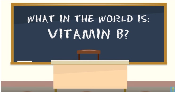 비타민B  효능 및 결핍