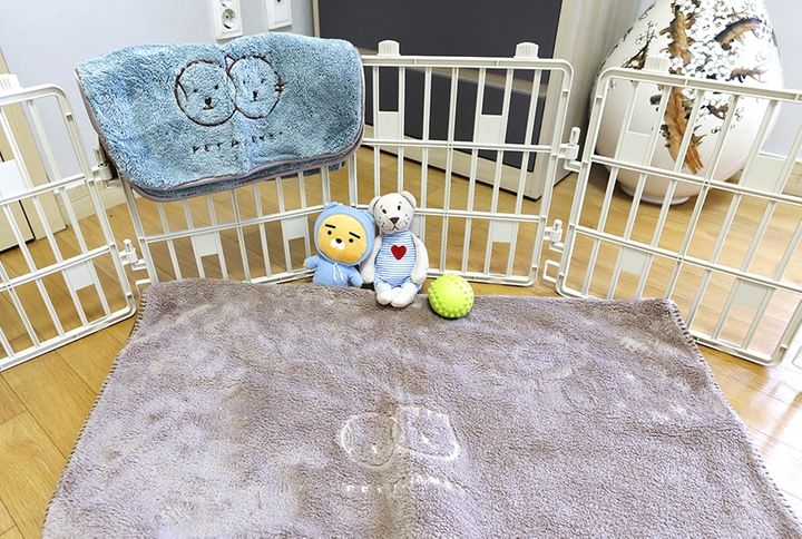  송파구 잠실 펫시터 안은숙님 지금 예약하세요! | 잠실 애견호텔, 애견유치원, 강아지유치원, 강아지호텔 찾는다면 펫플래닛