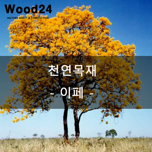  천연목재 알아보기 - 이페