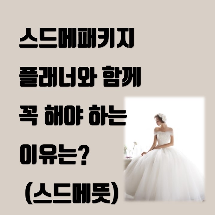  스드메패키지 플래너와 함께 꼭 해야 하는 이유는? (스드메뜻)
