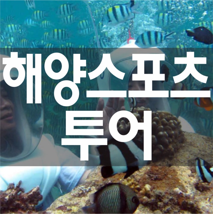  아름다운 세부 바다위에서 즐기는 해양스포츠! 해양스포츠투어~