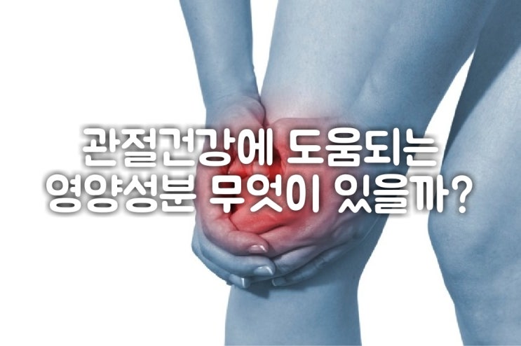  관절 영양제 1편, MSM(식이유황) 글루코사민 콘드로이친