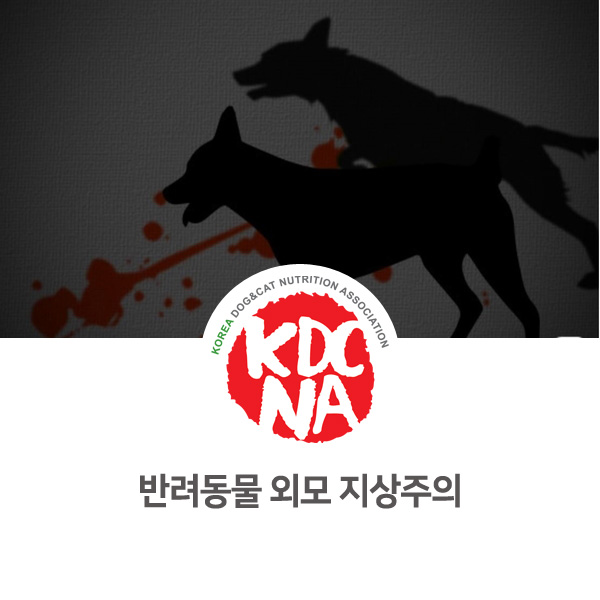 [반려동물 정보 뉴스] 인간을 위한 강아지 고양이 외모지상주의_03