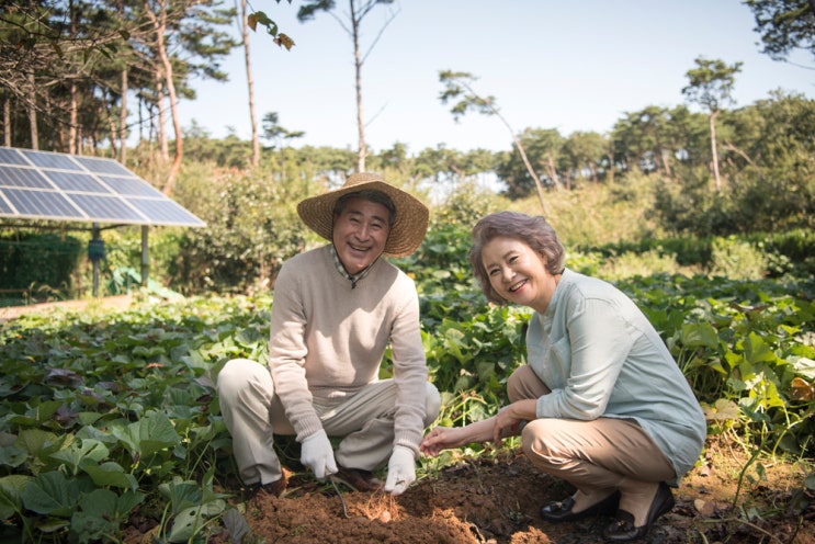  [2018 온비드 이용수기 수상작] 비용은 0.4%! 면적은 4배! 임대가 답이다.