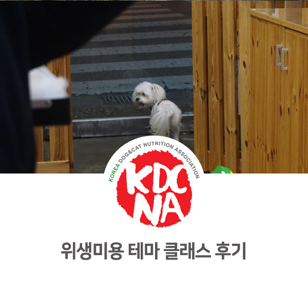 [반려동물 영양 전문 교육] 강아지 위생 미용 특별 원데이클래스_30