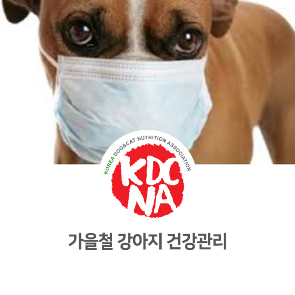  [반려인이 알아야 할 필수 정보] 가을철 강아지 건강 관리법_01