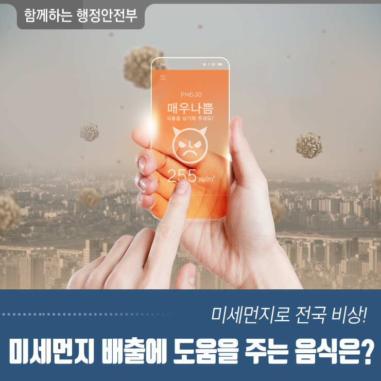  미세먼지로 전국 비상! 미세먼지 배출에 도움을 주는 음식은?