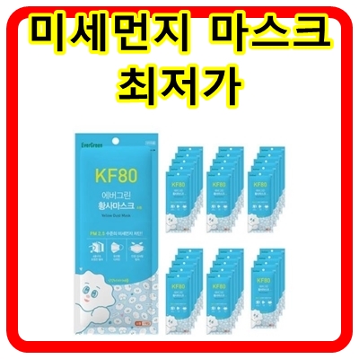  에버그린 어린이 미세먼지마스크 소형 KF80