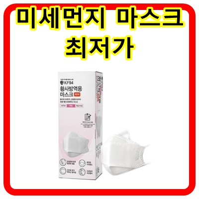  애니가드 뉴웰빙 황사 마스크 KF94