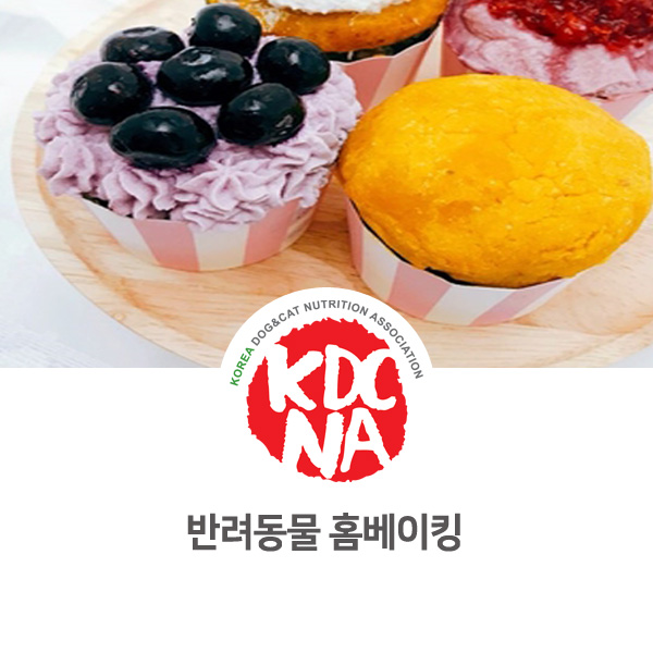  [보호자반 펫푸드 전문 교육] 한국반려동물영양협회 서울지역 홈베이킹 수업으로 배우기_02