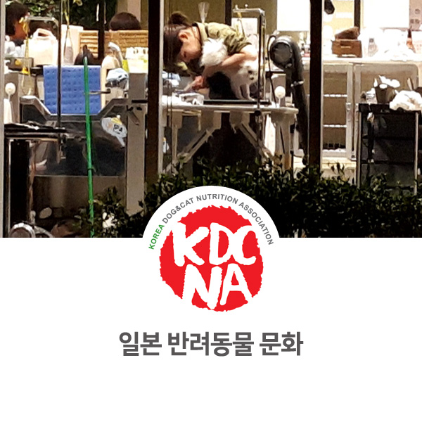  [반려동물 영양 전문 수제간식 창업] 일본 펫관련 업체 탐방기_13