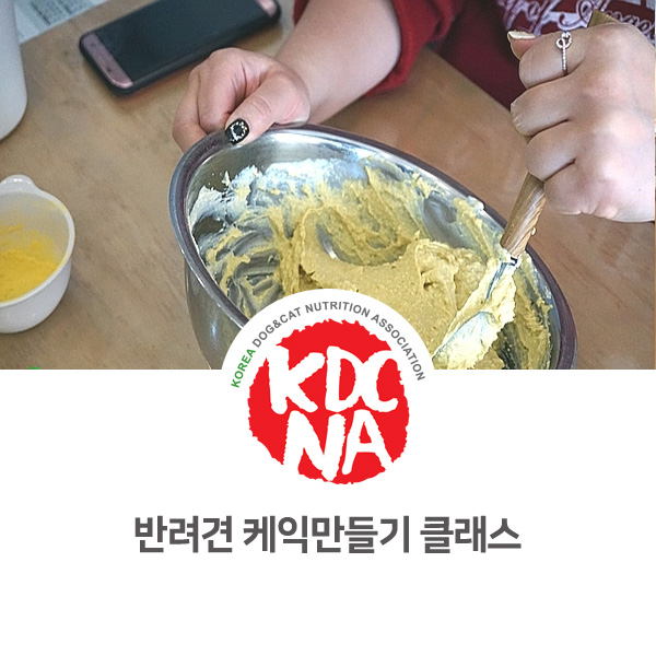  [반려동물 영양 전문 교육] 강아지 케익 만들기 원데이클래스_29