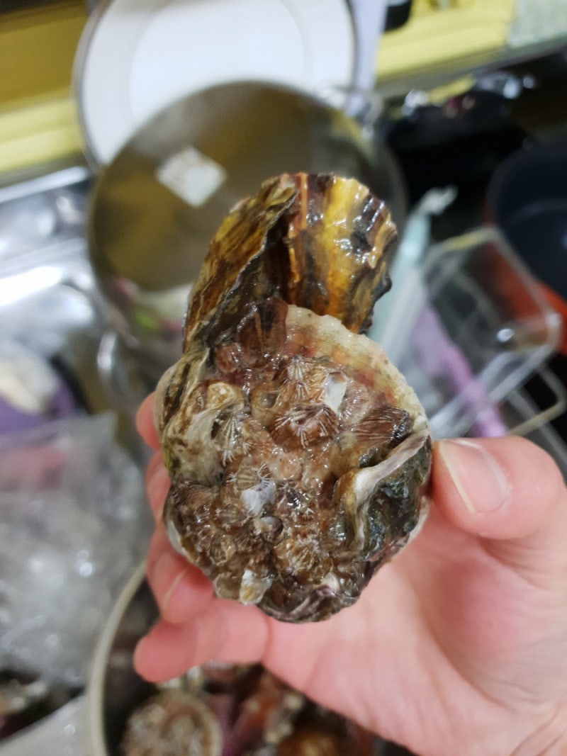 딱새우까는법 및 가리비 굴찜 리뷰 : 네이버 블로그 딱새우까는법 및 가리비 굴찜 리뷰 : 네이버 블로그