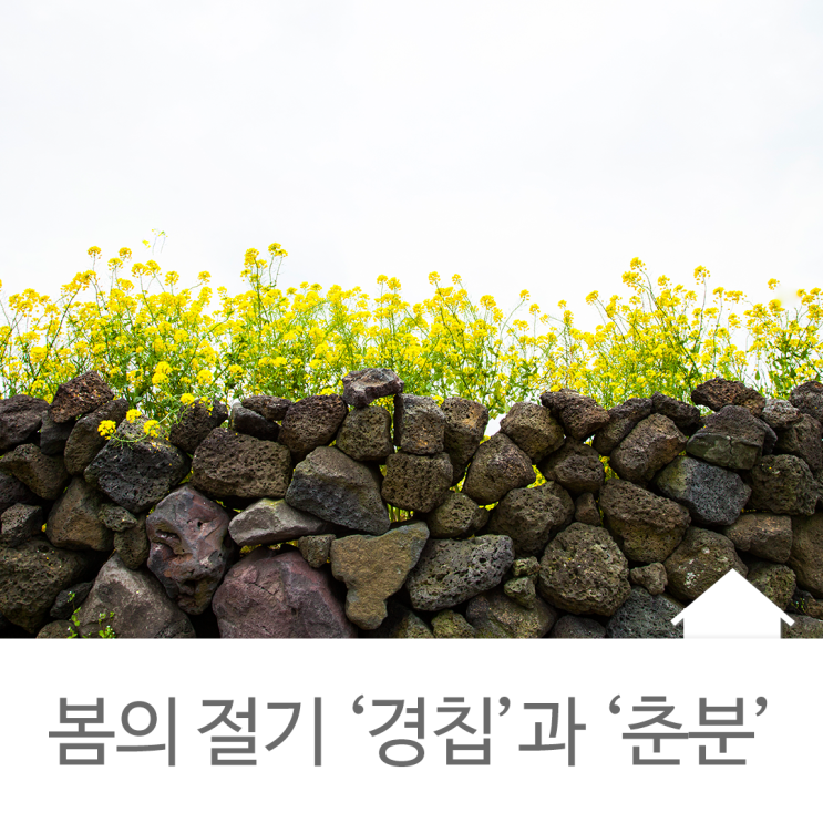  만물이 겨울잠에서 깨어나 봄을 알리는 절기, 경칩과 춘분