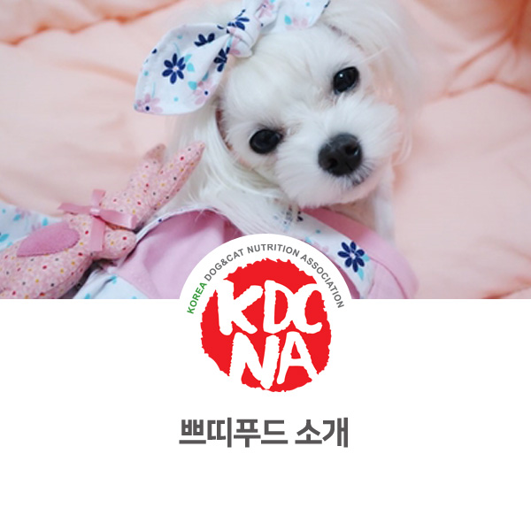  [반려동물 영양 전문 수제간식 창업] 한국반려동물영양협회 경기지회 쁘띠푸드 소개_02
