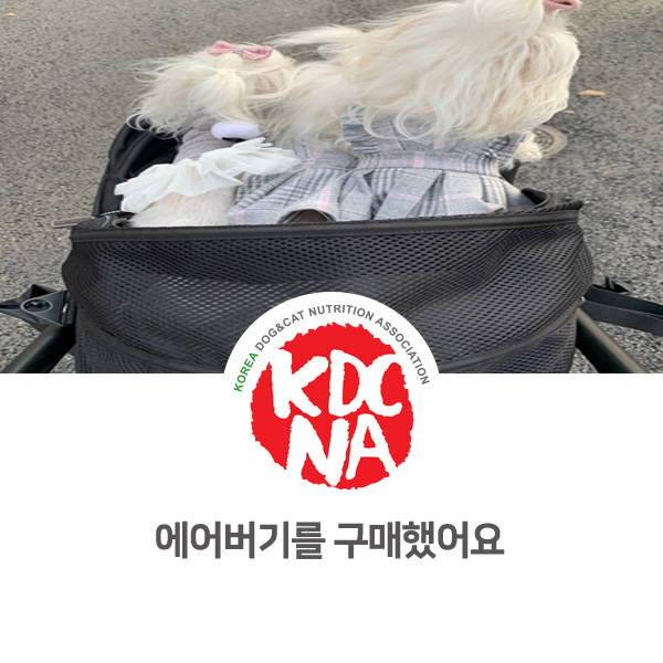 [반려동물 영양 전문 수제간식 창업] 쁘띠푸드 강아지 에어버기 유모차 후기_21