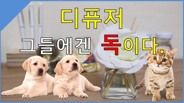  디퓨저, 고양이나 강아지에게는 독극물이다!?