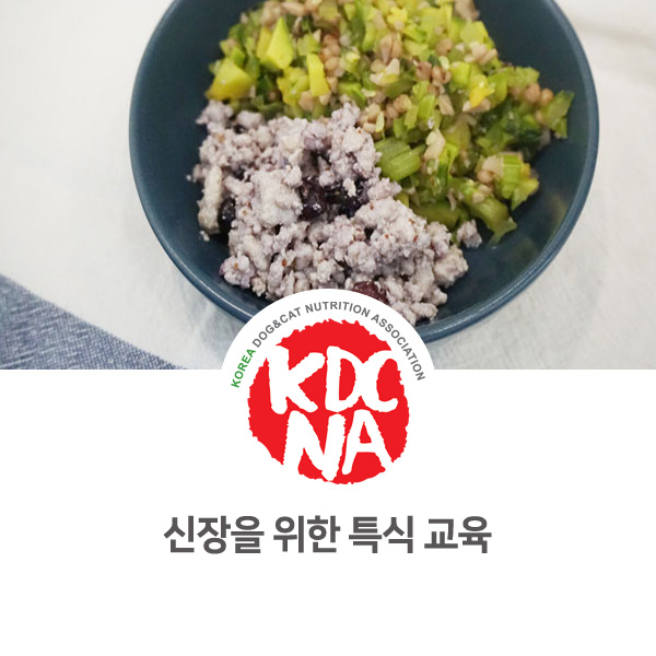  [펫푸드 전문 교육 과정] 신장 결석 강아지를 위한 특별 자연식 원데이클래스_04