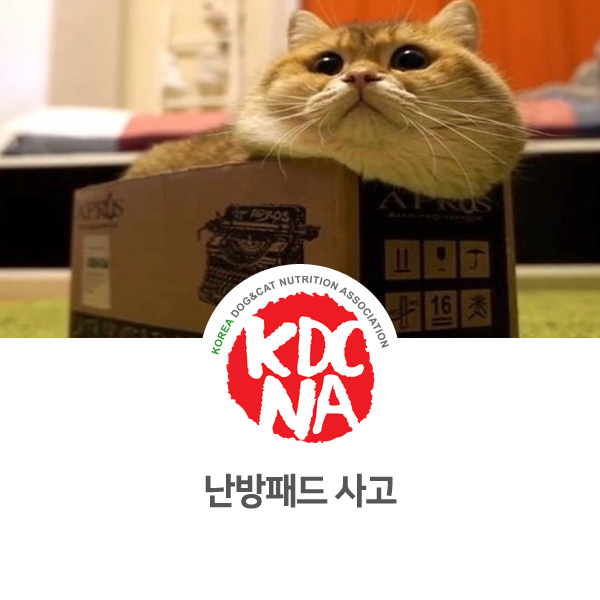  [반려동물 사건 사고] 겨울 난방패드 사용 주의하자_01