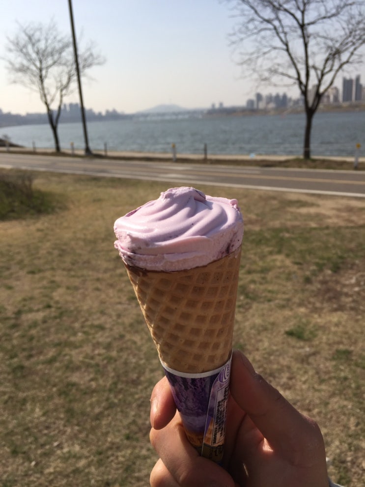 브라보콘 블루베리 아이스크림