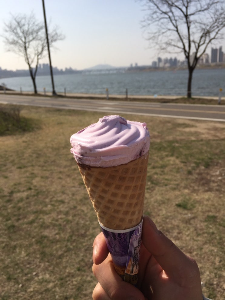  브라보콘 블루베리 아이스크림