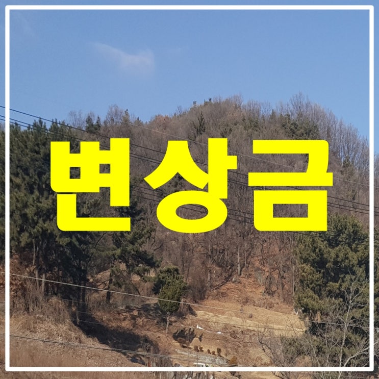  대전 행정사가  알려드리는 변상금 부과 이의신청, 행정심판