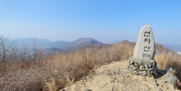  거제도 선자산... 누님 같은 산에서 얼레지 잎만 보다.