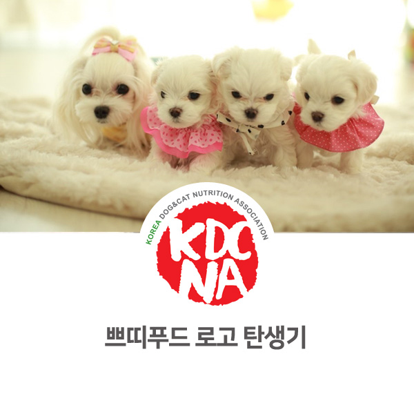  [반려동물 영양 전문 수제간식 창업] 쁘띠푸드 로고 탄생기_01