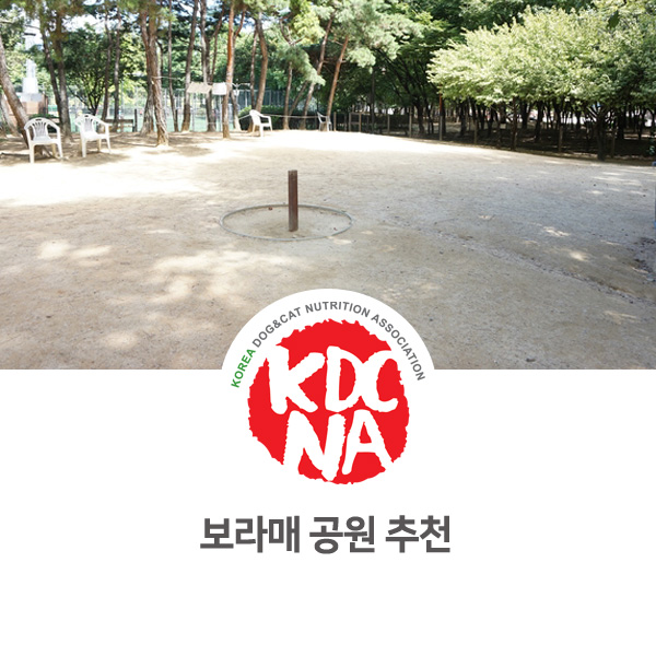  [반려동물 영양 수제간식 창업] 쁘띠푸드 가족 보라매 공원 산책하기_08