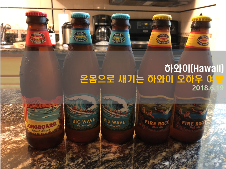  [하와이 여행] 온몸으로 새기는 하와이 오하우 여행