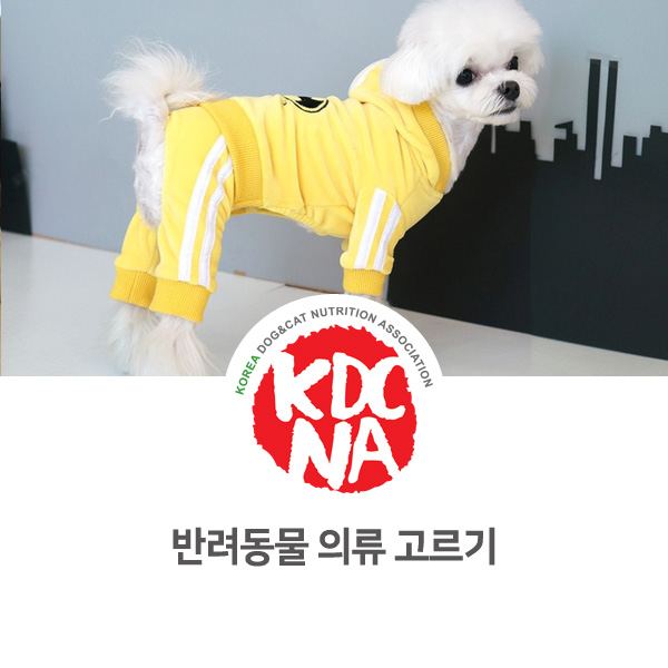  [반려인이 알아야 할 필수 정보] 강아지 옷 고르는 방법_04