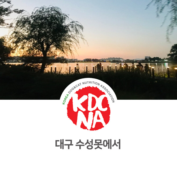  [반려동물 영양 전문 교육] 강아지 산책 코스 대구 수성못_20