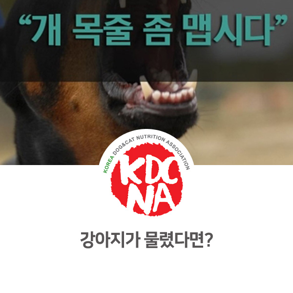[반려동물 정보 뉴스] 강아지 산책시 물렸을 때 대처 방법_05