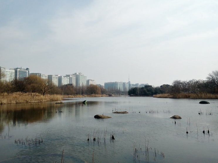  일산가볼만한곳 일산 호수 공원 + 주차정보