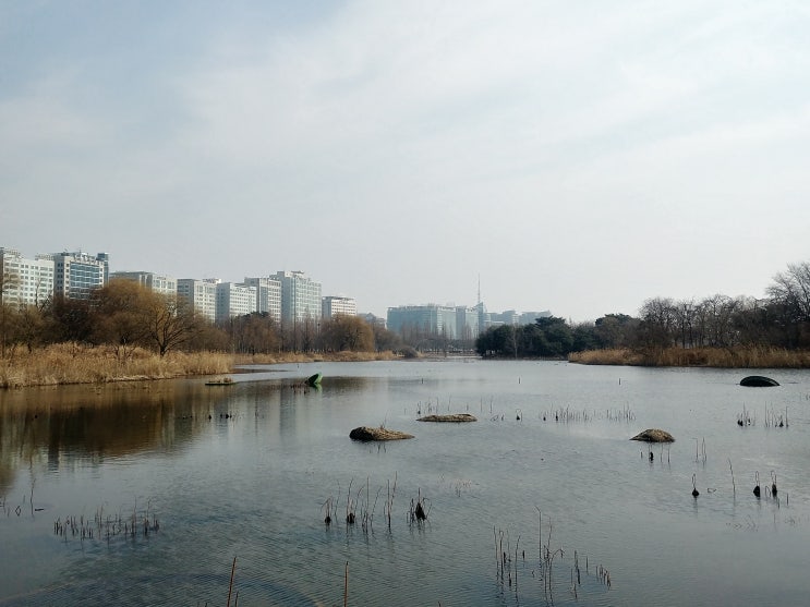 일산가볼만한곳 일산 호수 공원 + 주차정보