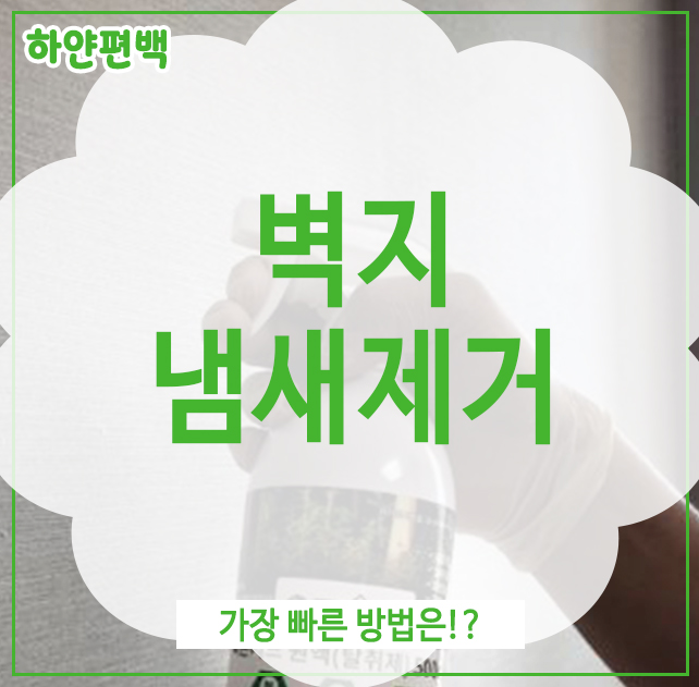  벽지냄새제거, 가장 빠른 방법은!?