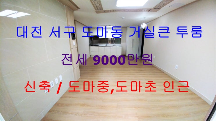  대전서구도마동신축거실큰투룸전세(도마중,도마초인근)
