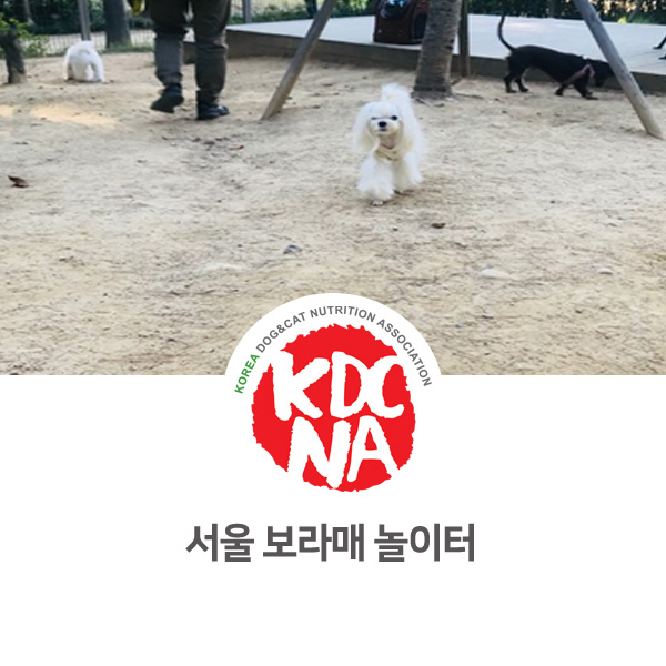  [반려동물 영양 전문 수제간식 창업] 보라매 강아지 놀이터 방문기_14
