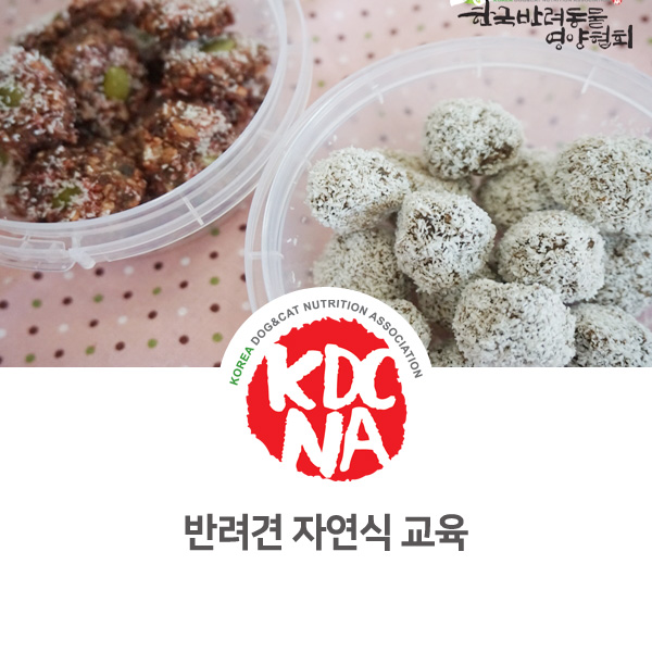  [반려동물 영양 전문 자연식 교육] 강아지 펫푸드 만들기 원데이클래스_21