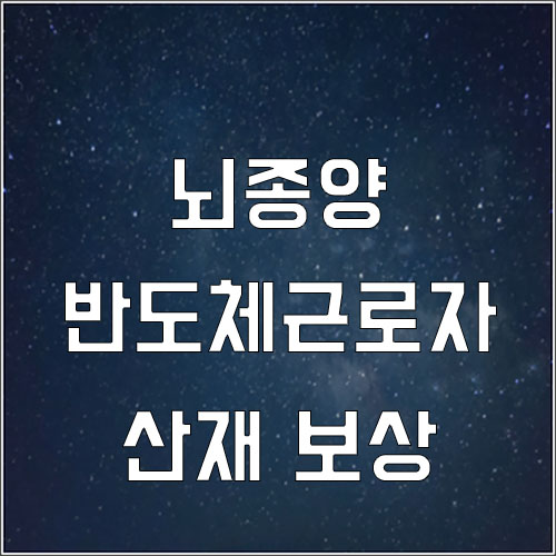  뇌종양 산재 (반도체 제조업 근로자 뇌종양 산재 )