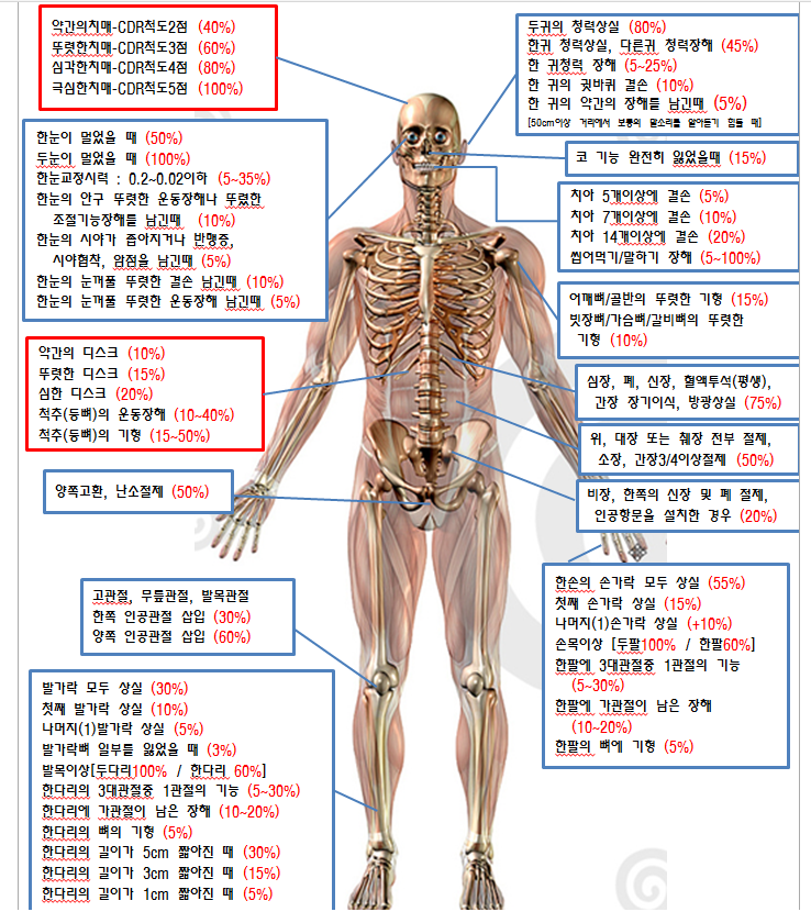  2019년 3월 태아보험 현명하고 정직한 설계