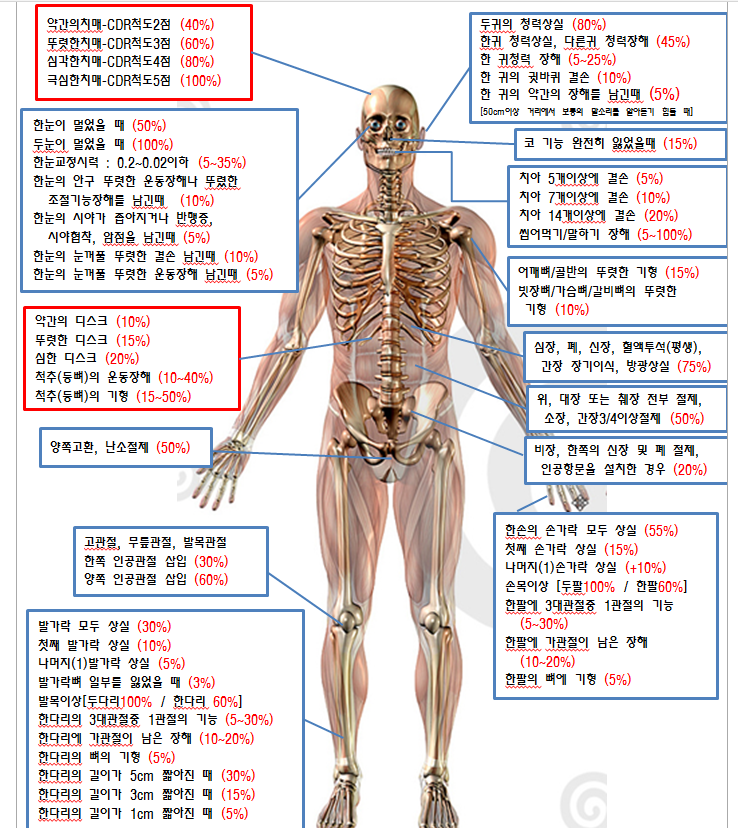 2019년 3월 태아보험 현명하고 정직한 설계