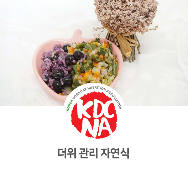  [강아지 고양이 홈메이드 펫푸드 만들기] 여름 더위에 도움이 되는 자연식 만들기_02