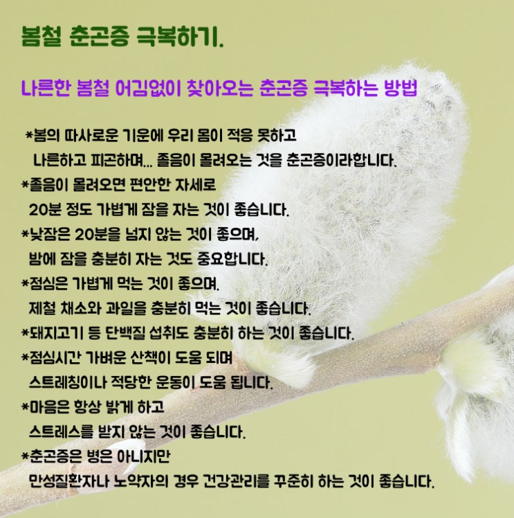 봄철 춘곤증 극복 방법