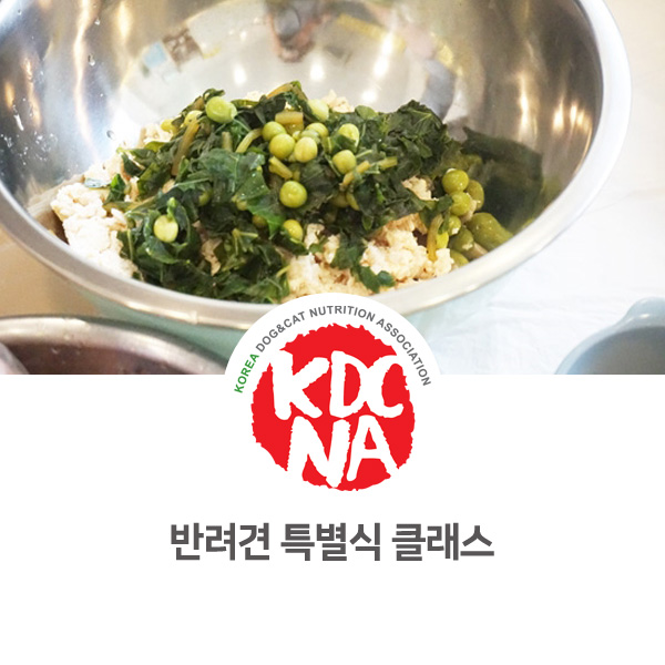  [영양 펫푸드 전문 교육] 반려동물 자연식만들기 원데이클래스_17