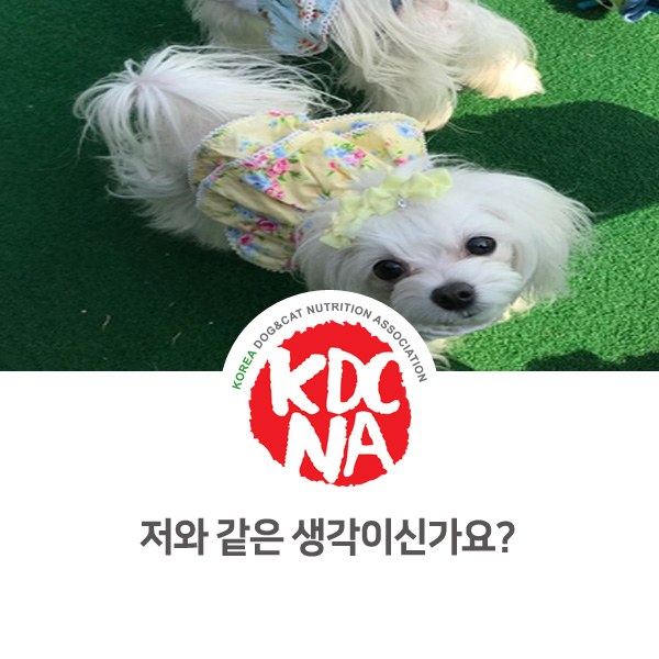  [반려동물 영양 전문 수제간식 창업] 서울 애견카페 방문기_16