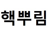  (핵공유) 프리메이플 컬쳐월드에서 사용가능한 핵 유포 핵 공유 프리서버