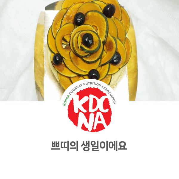  [강아지 고양이 홈메이드 펫푸드 만들기] 쁘띠의 생일 케이크 만들기_03