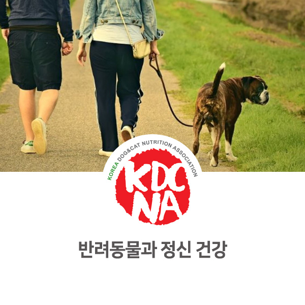  [반려동물 정보 뉴스] 강아지 고양이가 사람에게 미치는 영향들_04