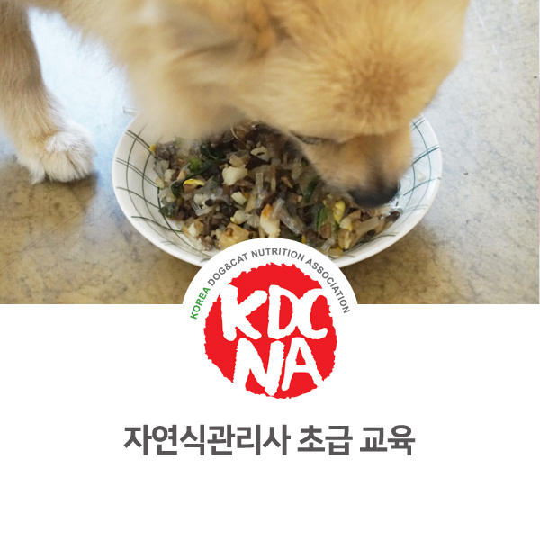 [반려동물 영양 전문 자격 교육] 강아지 자연식관리사 초급반 실습_13